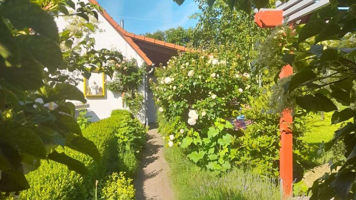 Einfamilienhaus mit Ferienhaus und grünem Garten in Garz