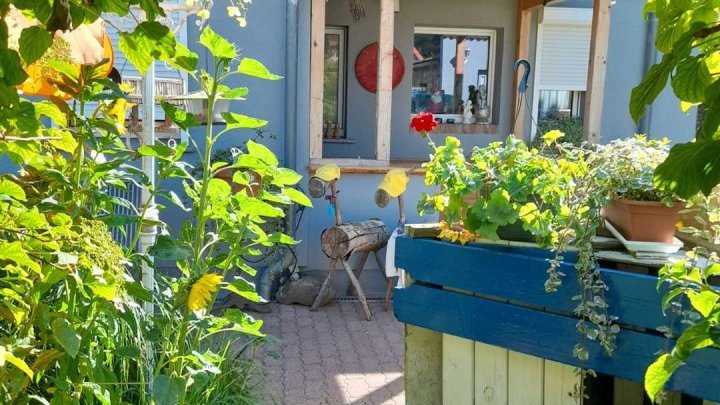 Einfamilienhaus mit Ferienhaus und grünem Garten in Garz