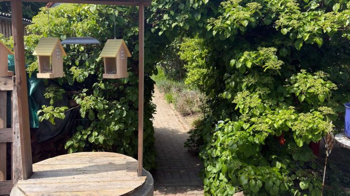 Einfamilienhaus mit Ferienhaus und grünem Garten in Garz