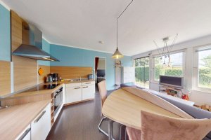 Wohnzimmer / Küche