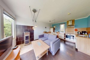 Wohnzimmer / Küche