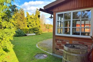 Blick in den Garten