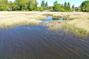 Hausansicht vom Bodden