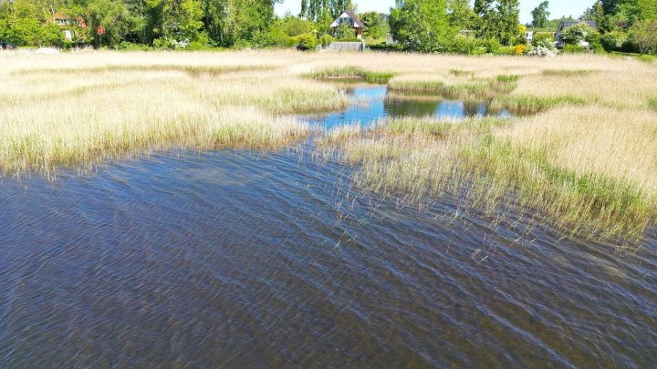 Ihr Rückzugsort am Wasser – Idyllisches Ferienhaus mit Blick auf den Großen Jasmunder Bodden